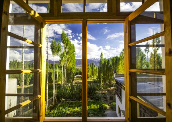 Cost of Wood Window Replacement in Lebanon