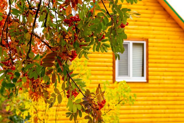 Cost of Garden Window Replacement in Lebanon